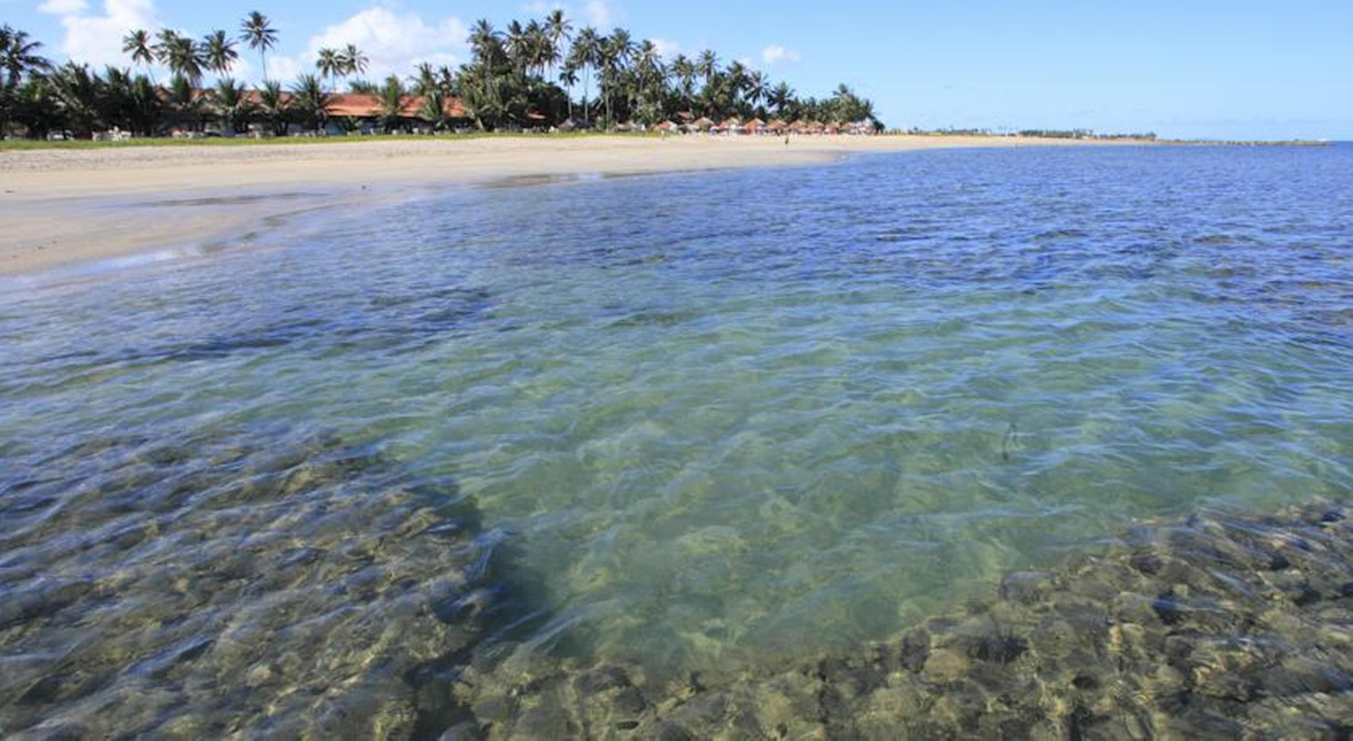 Serrambi Resort Pôrto das Galinhas Eksteriør billede