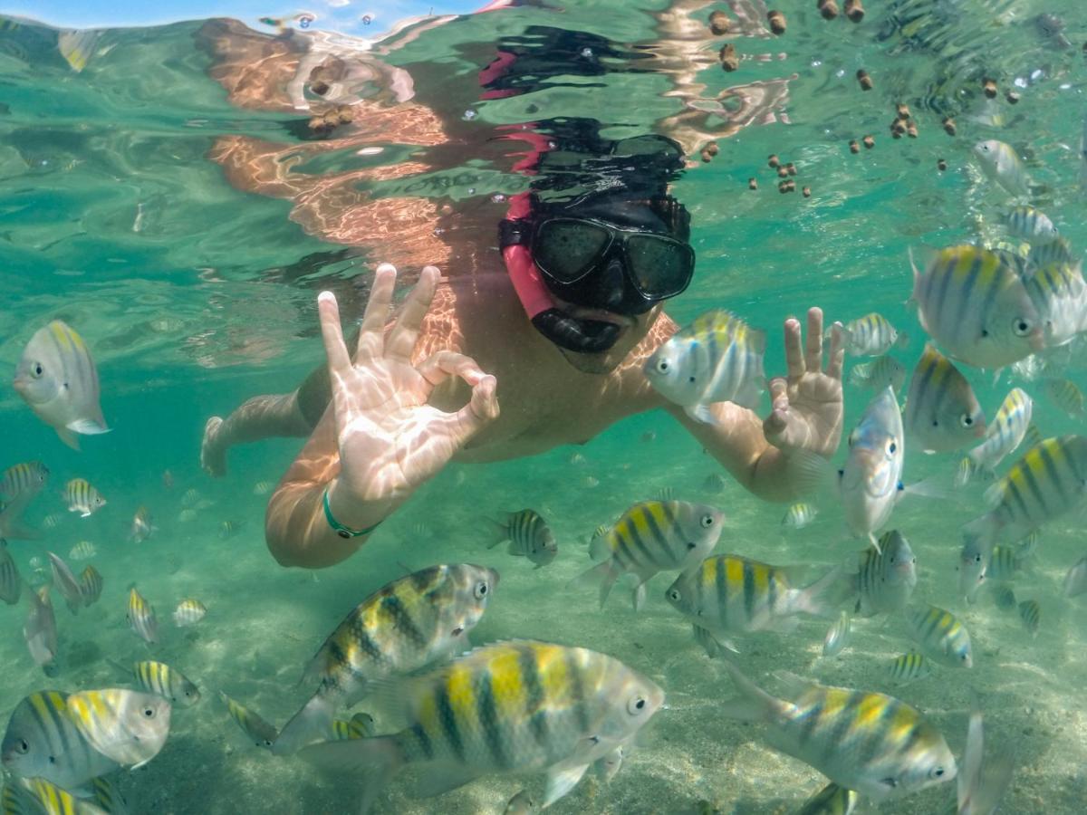 Serrambi Resort Pôrto das Galinhas Eksteriør billede